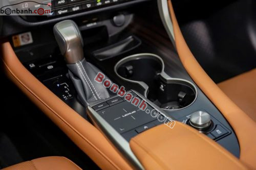 Lexus RX 300 2019 - ảnh 5