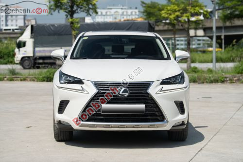 Lexus NX 300 2019 - ảnh 1