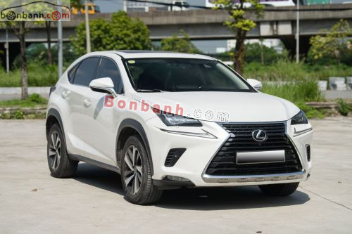 Lexus NX 300 2019 - ảnh 2