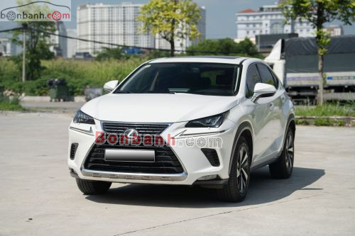 Lexus NX 300 2019 - ảnh 3