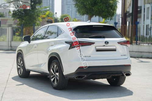 Lexus NX 300 2019 - ảnh 4