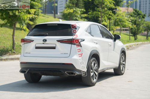 Lexus NX 300 2019 - ảnh 5