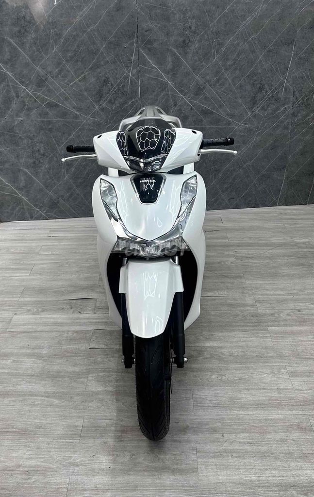 SHVN 2022 - ảnh 1
