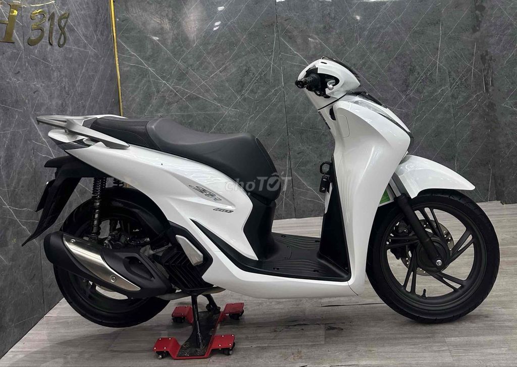 SHVN 2022 - ảnh 4