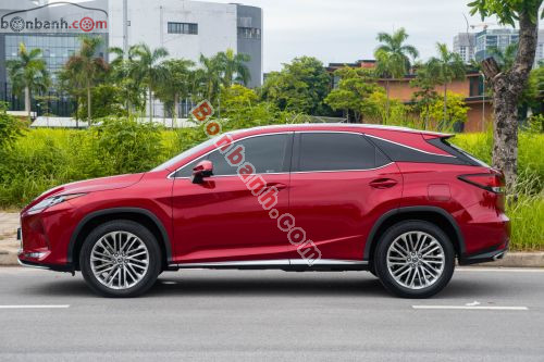 Lexus RX 300 2021 - ảnh 3