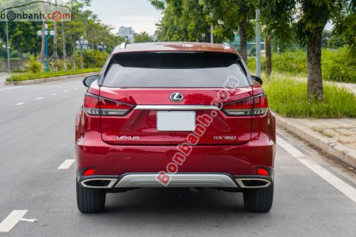 Lexus RX 300 2021 - ảnh 5