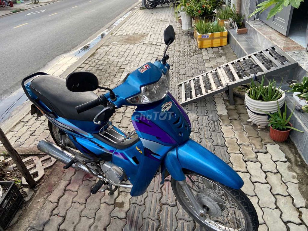Wave 2004 - ảnh 3