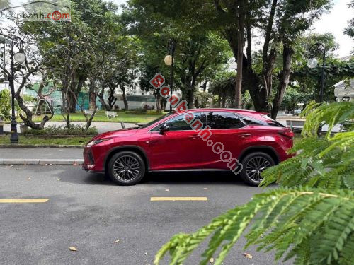 Lexus RX 300 2022 - ảnh 2