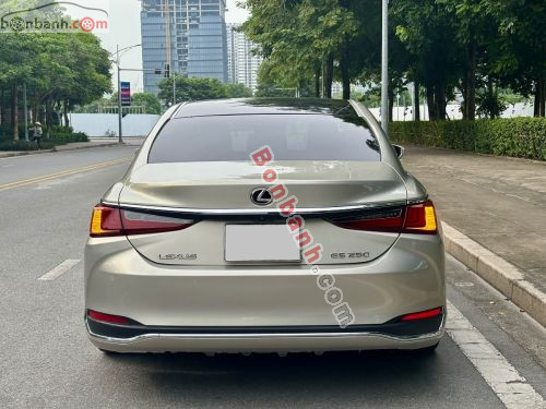Lexus ES 250 2018 - ảnh 5