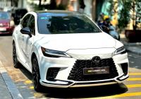 Lexus RX 2024 - ảnh 1
