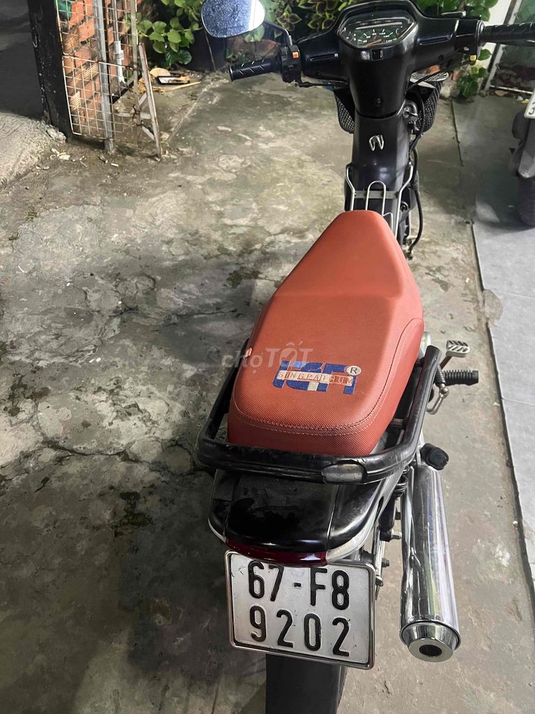 Wave 2000 - ảnh 3