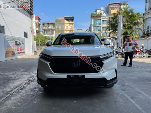 Honda CRV L 2026 - ảnh 1
