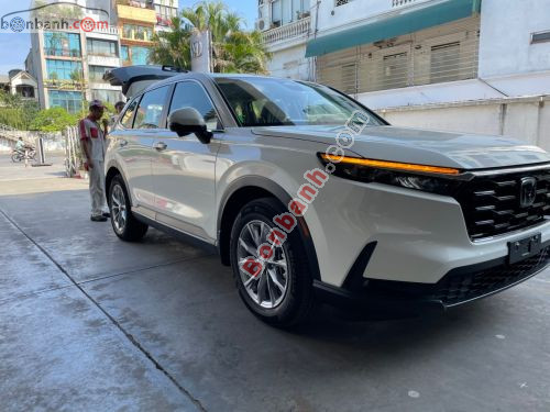 Honda CRV L 2026 - ảnh 4