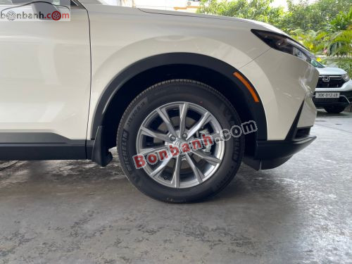 Honda CRV L 2026 - ảnh 5