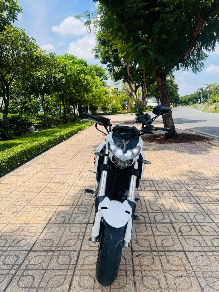 Benelli TNT 2019 - ảnh 5