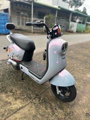Xe m 2024 - ảnh 1