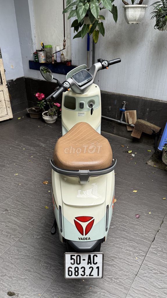 Xe m 2024 - ảnh 2