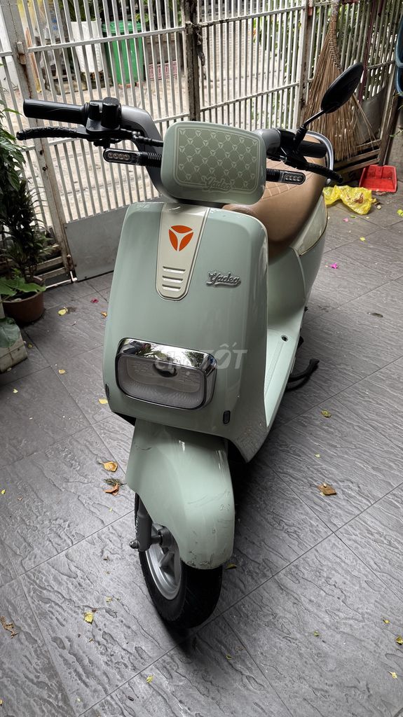 Xe m 2024 - ảnh 3