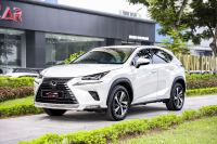 Lexus NX 300 2020 - ảnh 1