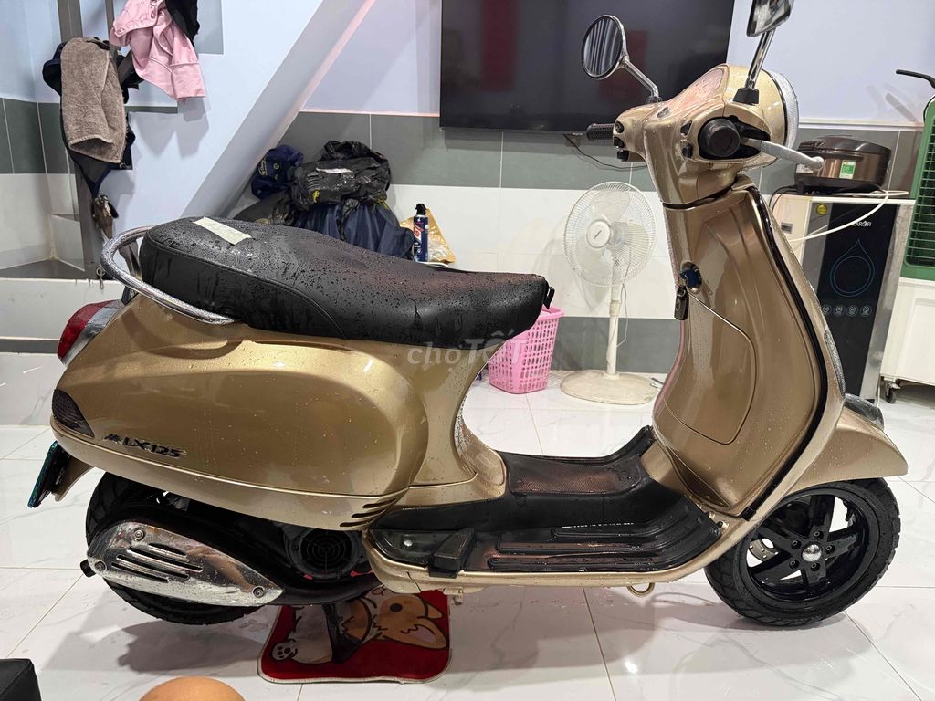 Piaggio 2010 - ảnh 4