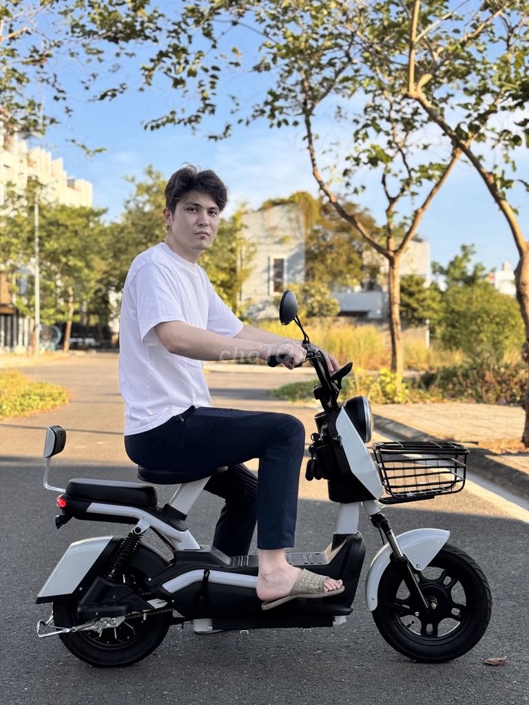 Xe 2026 - ảnh 4