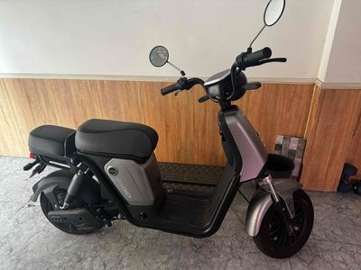 Xe 2024 - ảnh 1