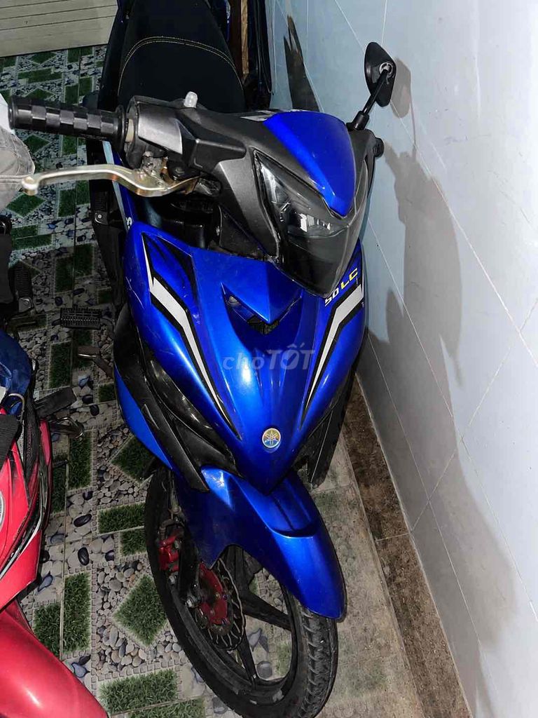 ex 2019 - ảnh 1