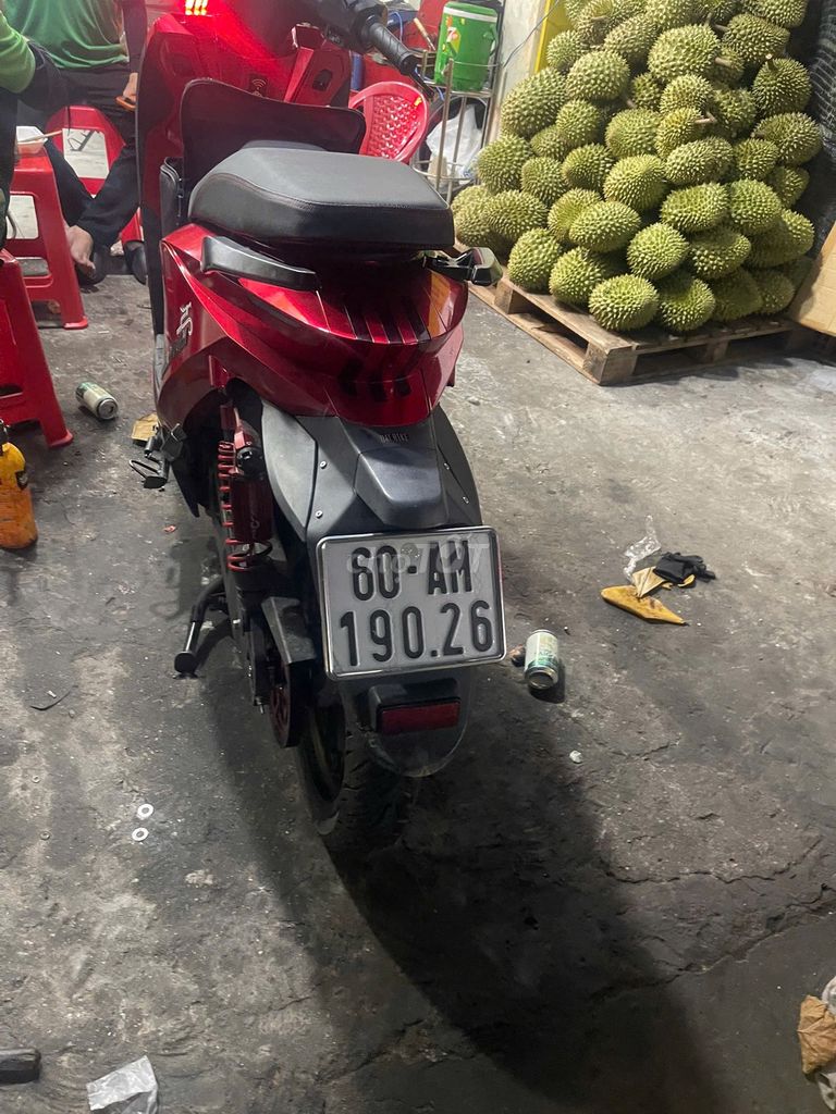 Xe m 2024 - ảnh 3