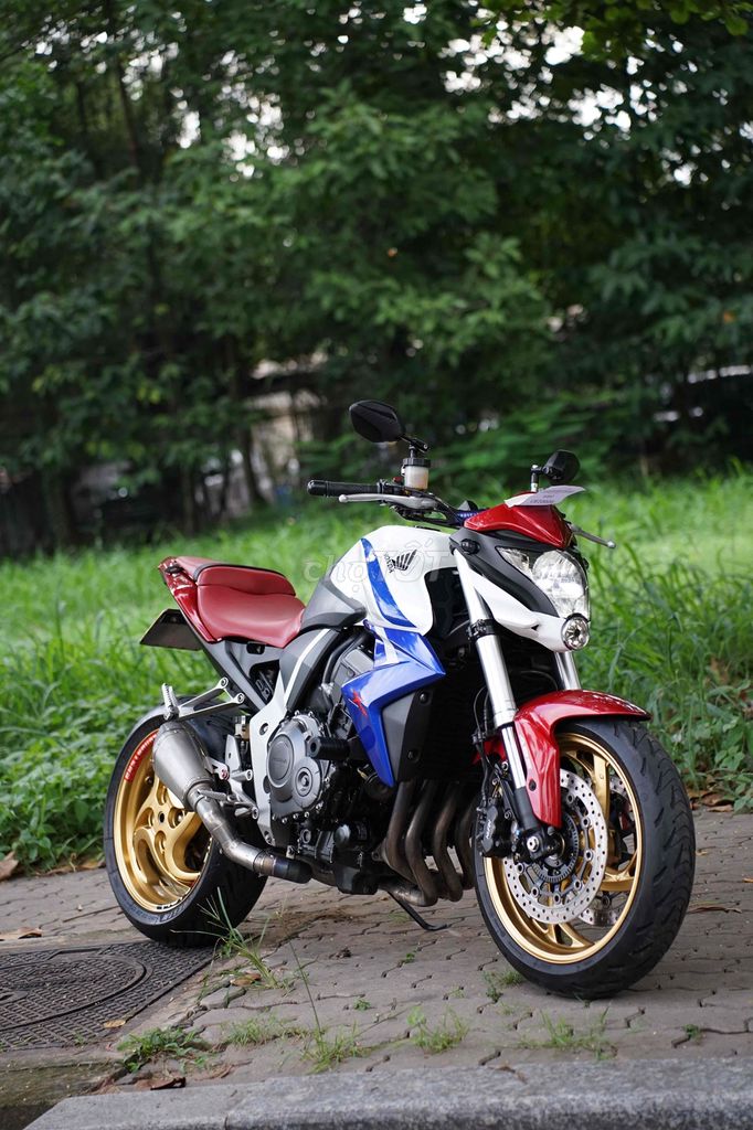 Honda 2009 - ảnh 1