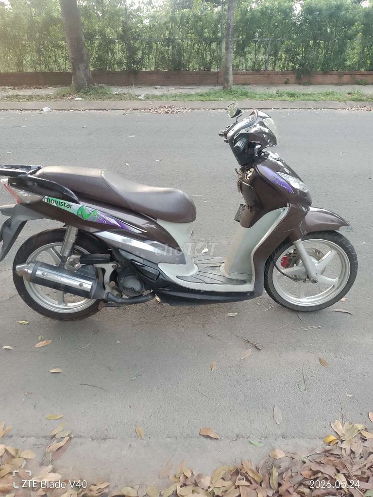 SYM Shark 2010 - ảnh 1