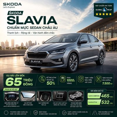 Skoda - ảnh 1