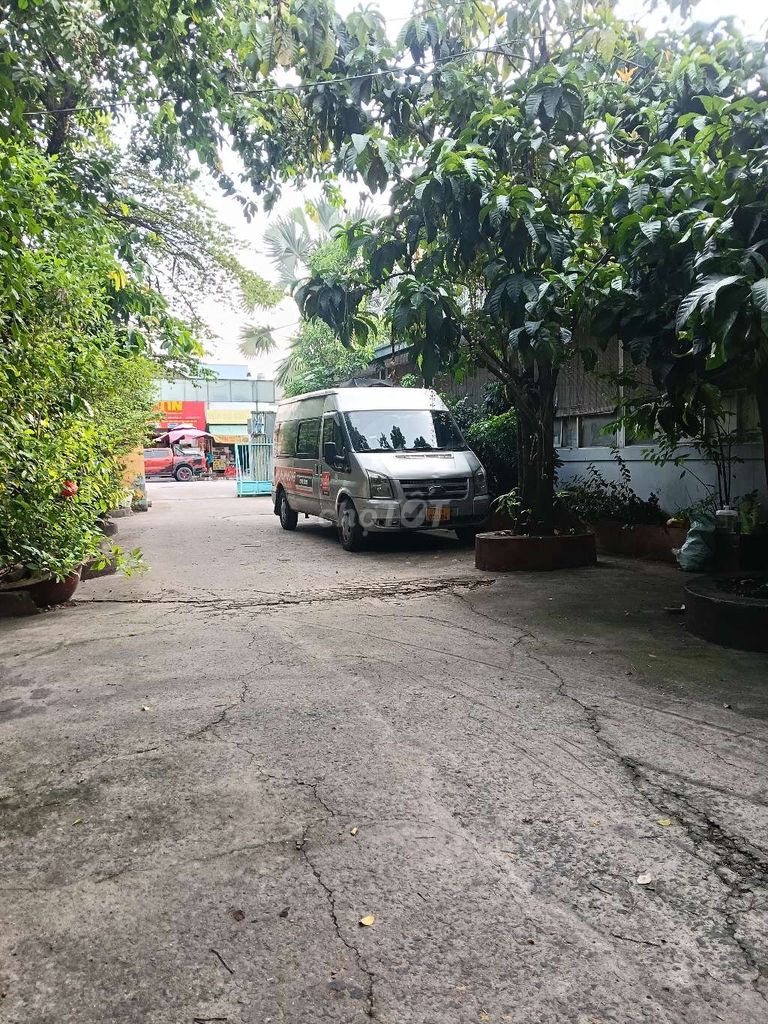 Ford Transit - ảnh 2