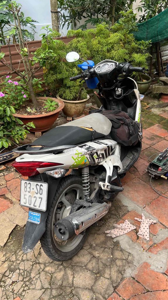 Yamaha Novo 2010 - ảnh 1