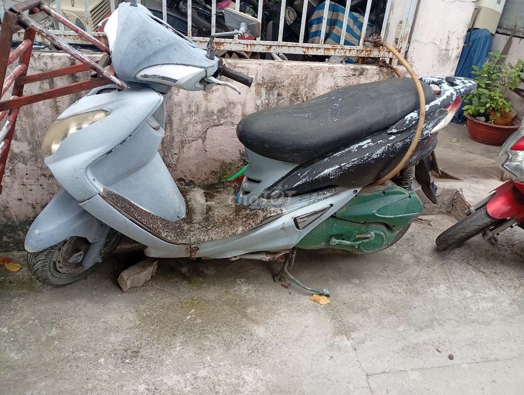 Xe m 2009 - ảnh 1