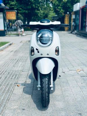 Honda Scoopy 2025 - ảnh 1