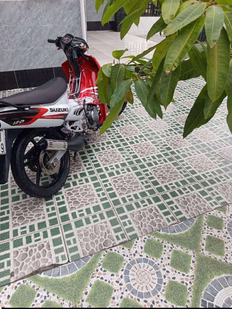 Suzuki X 2000 - ảnh 2