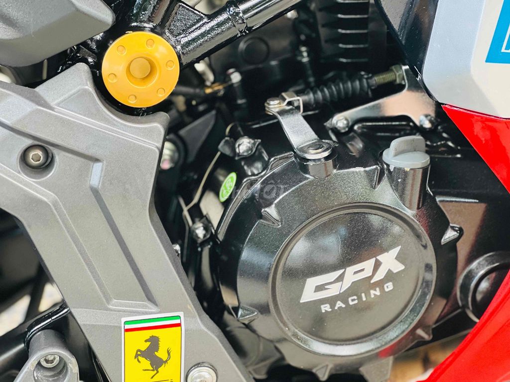 GPX Demon 2019 - ảnh 5
