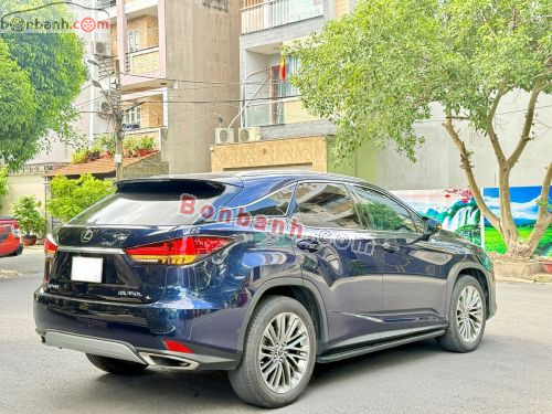 Lexus RX 300 2022 - ảnh 5