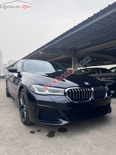 BMW 5 Series 530i M Sport 2022 - ảnh 3