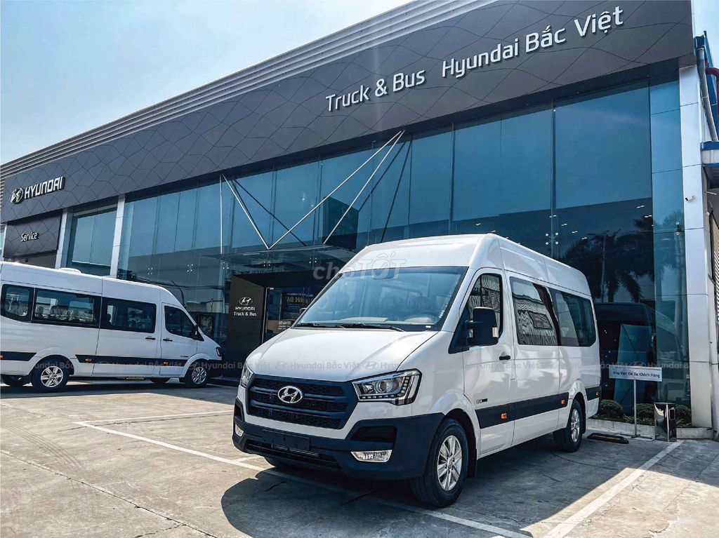 Hyundai Solati - ảnh 1