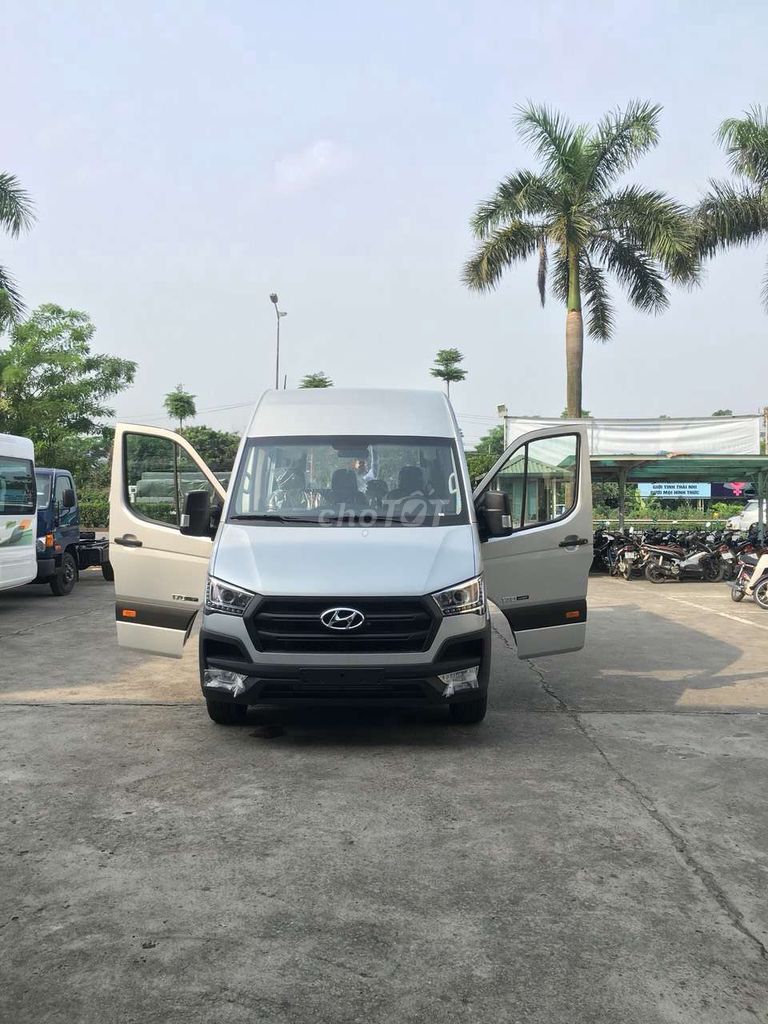 Hyundai Solati - ảnh 3
