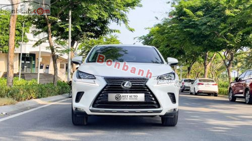 Lexus NX 300 2019 - ảnh 1
