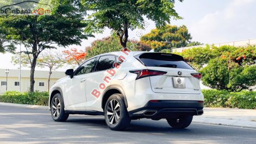 Lexus NX 300 2019 - ảnh 3