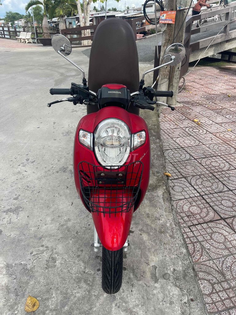 Honda Scoopy 2020 - ảnh 2