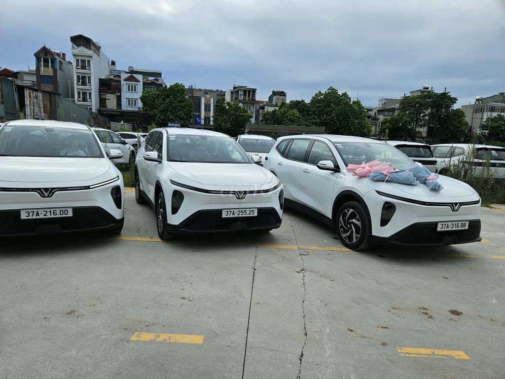 VinFast Limo Green - ảnh 1
