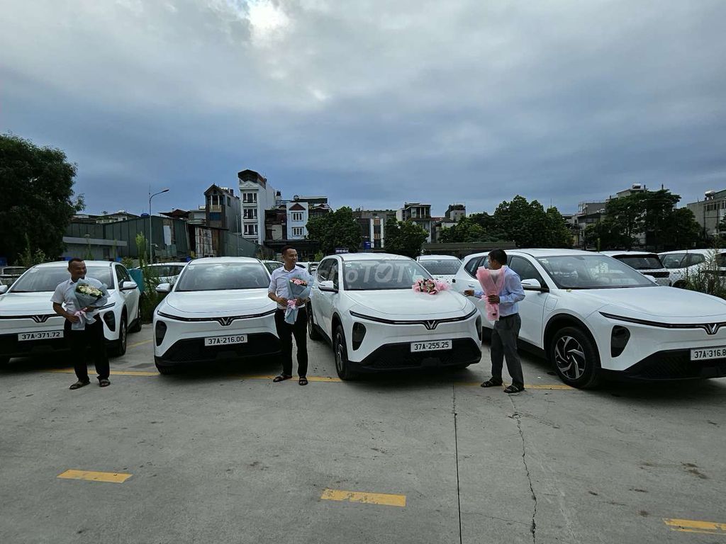 VinFast Limo Green - ảnh 2