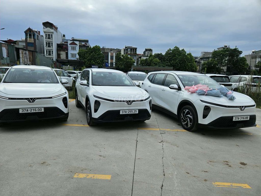 VinFast Limo Green - ảnh 3