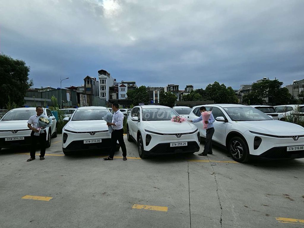 VinFast Limo Green - ảnh 4