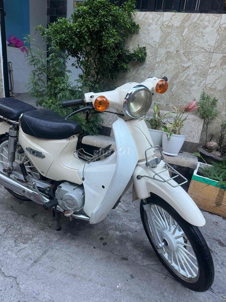 Honda Wave 2014 - ảnh 4