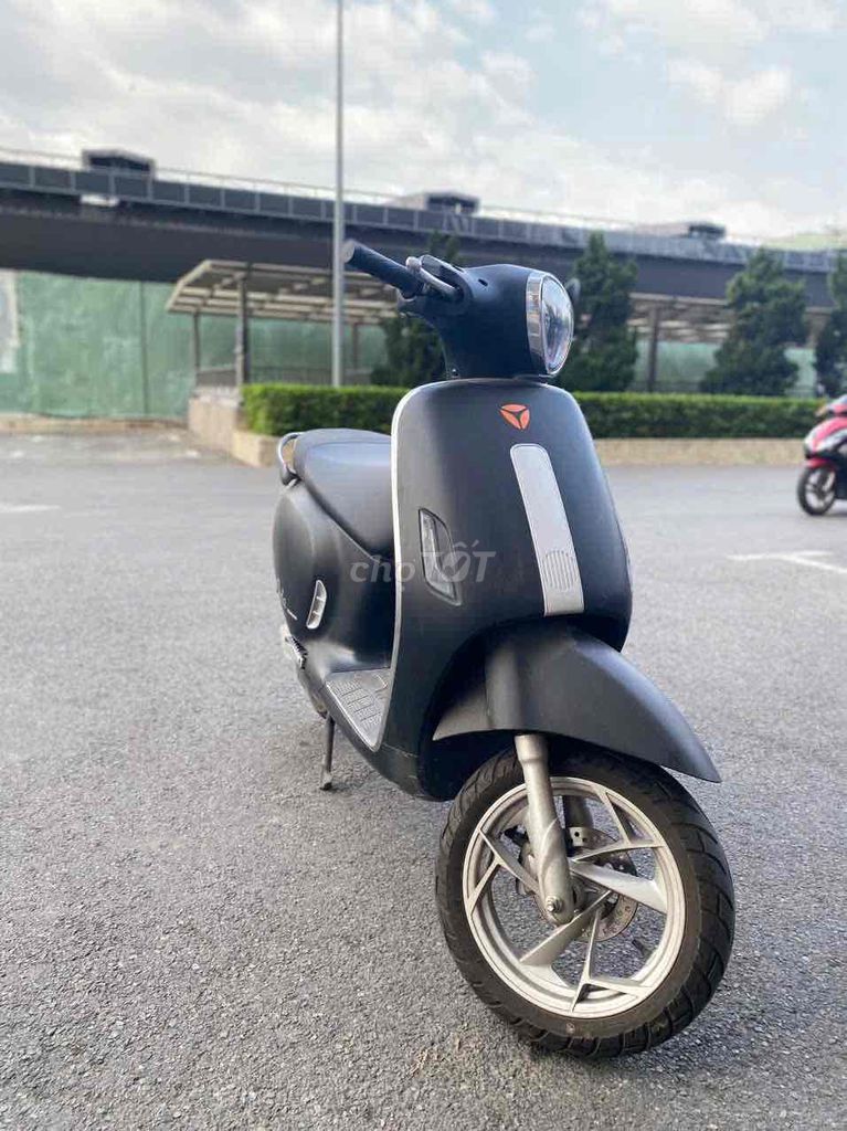 Xe m 2024 - ảnh 1